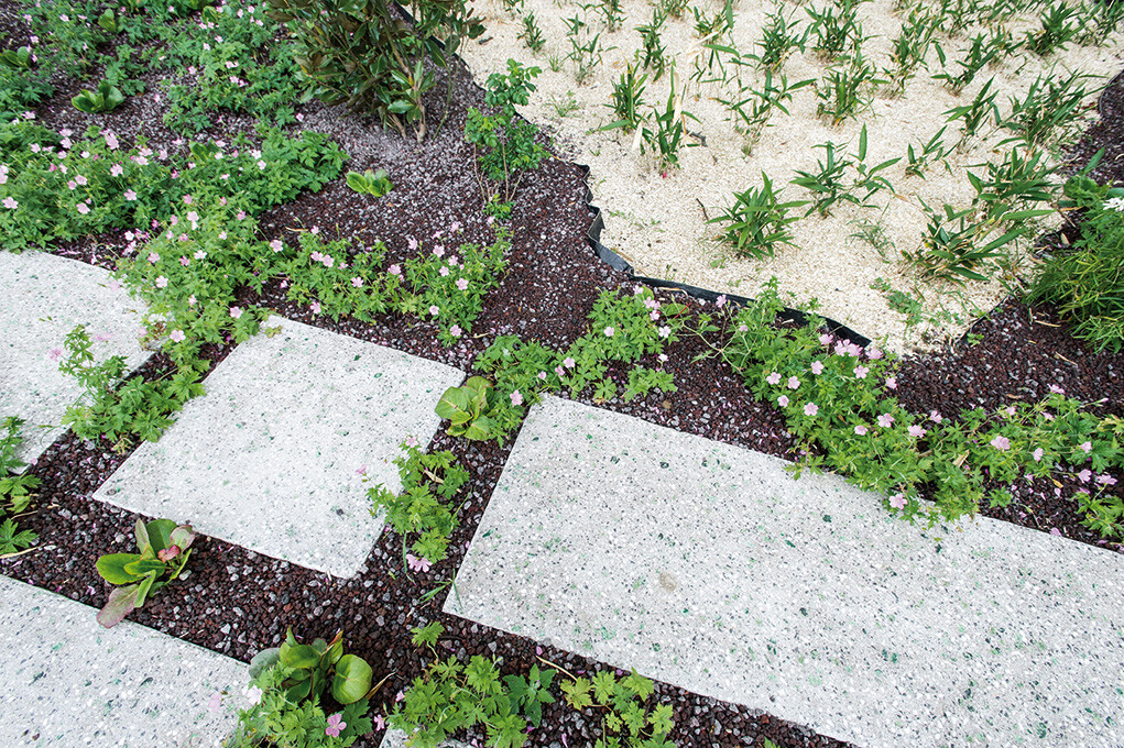 1010-COD-CHA-PHO-04JPG