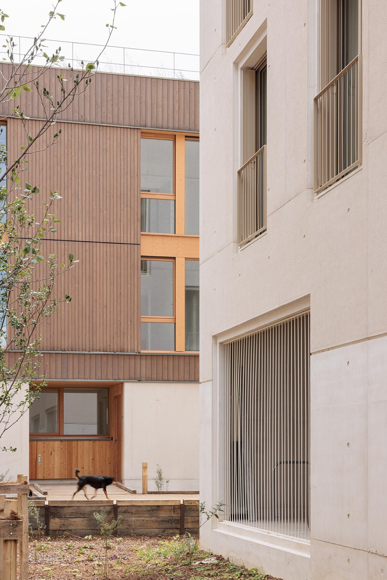 240704_Ramdam-Gabrion_AMIR_Salem_HD-20