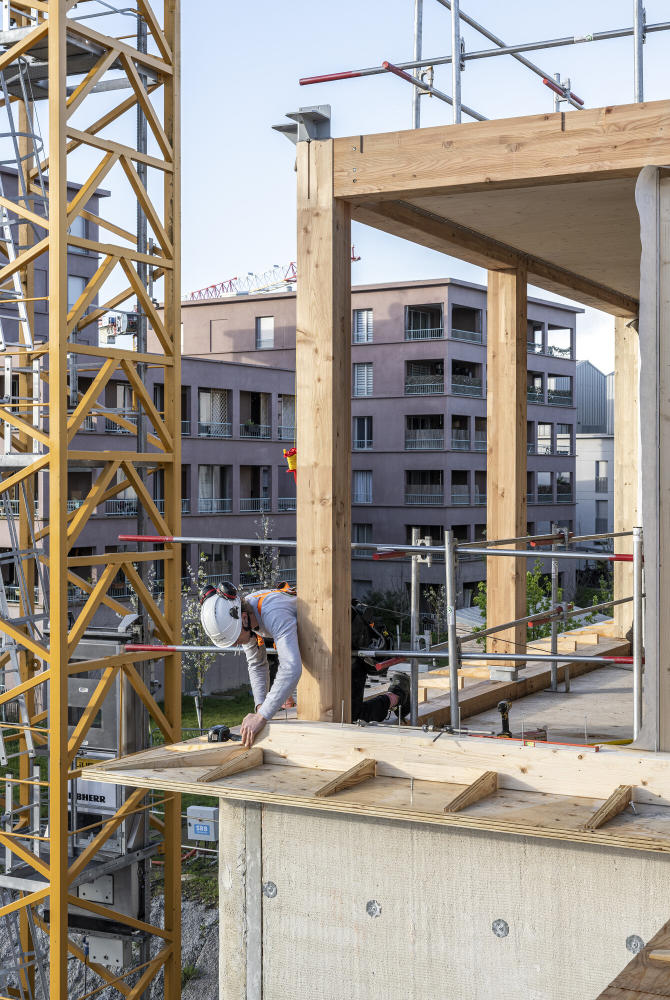 Copie de ©SimonGuesdon_DSC3012