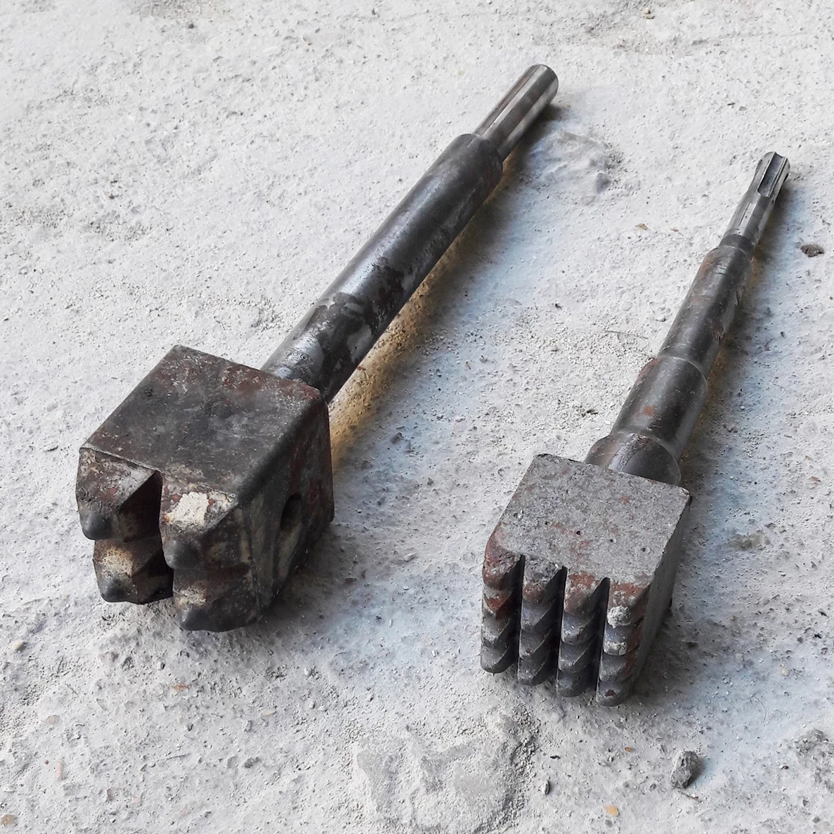 IMG_20201119_090651-recadre