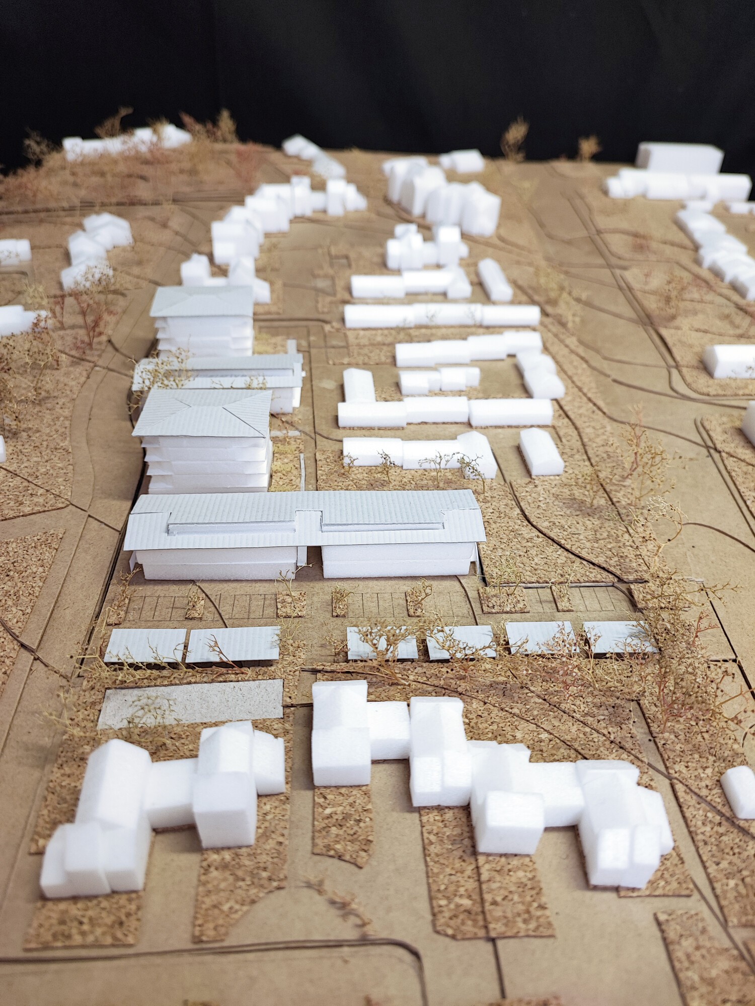 IMG_20241211_142329_