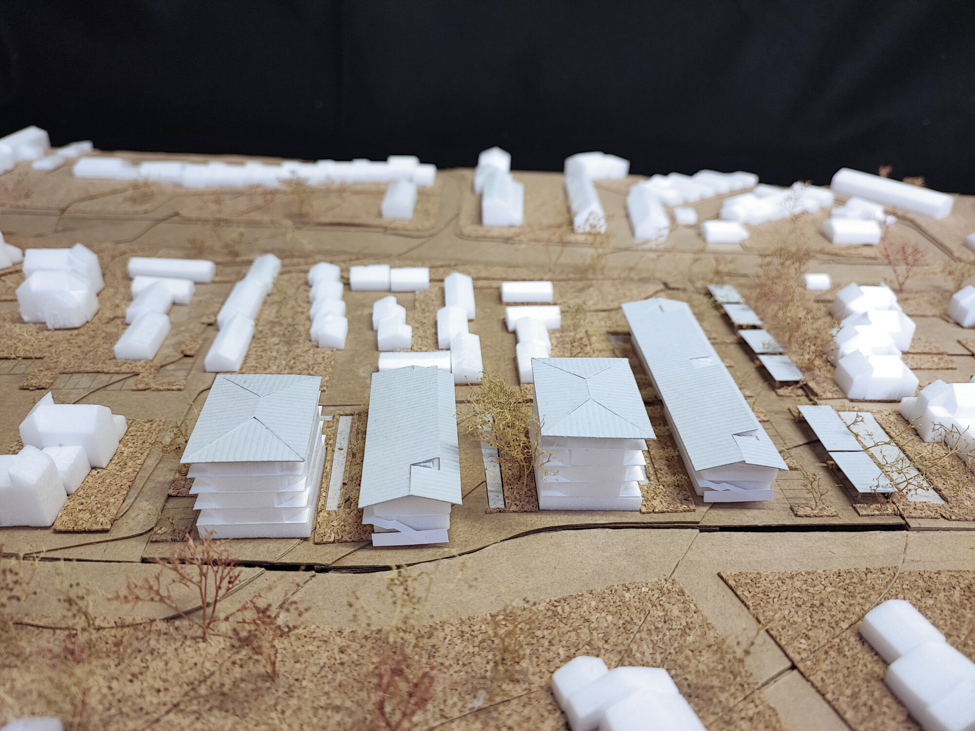 IMG_20241211_142402_