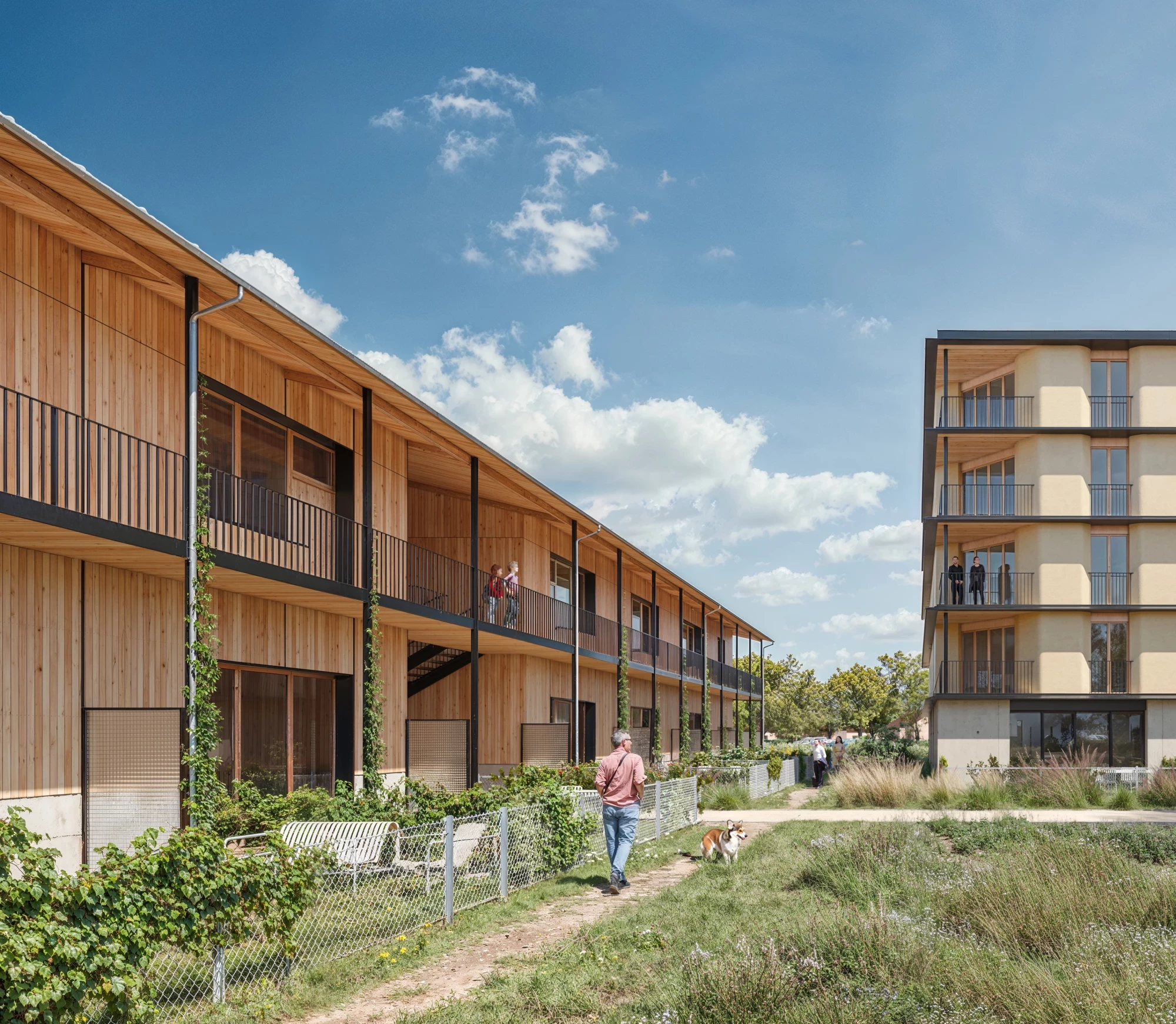 RAMDAM-2401-AJO-JARDIN